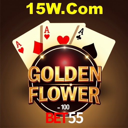 Interface Premium Bet55
