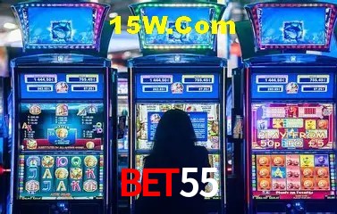 Sistemas de Segurança Bet55